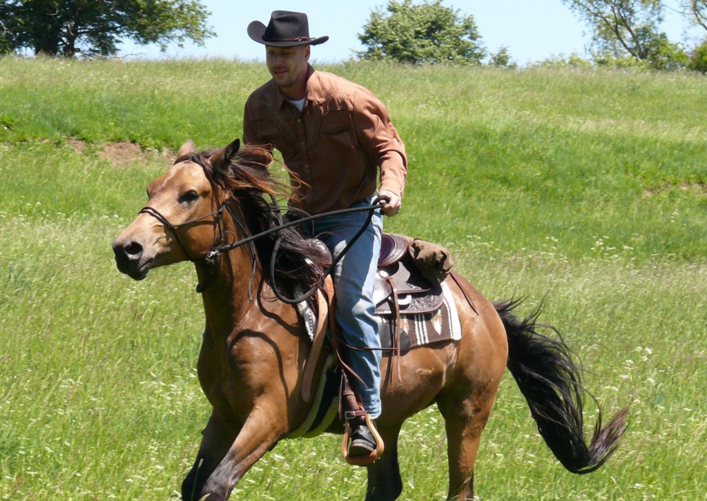 rodeo-515612(4)